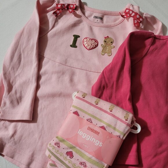 Gymboree Gingerbread Girl size 3 NWT leggings, Used shirts Outfit. Located A21 - Picture 3 of 3